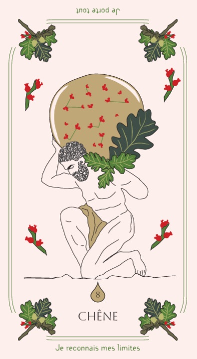 8. Chêne