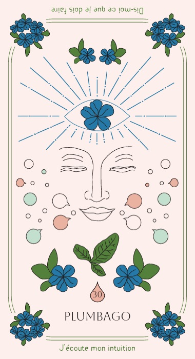 30. Plumbago